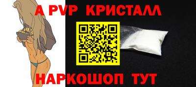 круглые Кингисепп