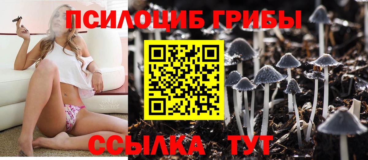 Бирск  Псилоцибиновые грибы мухоморы  Вход с VPN  Псилоцибиновые грибы GOLDEN TEACHER 